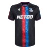 Maillot de Supporter Crystal Palace Troisième 2024-25 Pour Homme